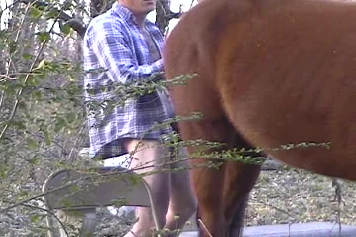 Fiú megdugja a ló seggét finoman