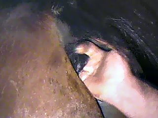 Man gives a horse a rim job before fisting his tight ass