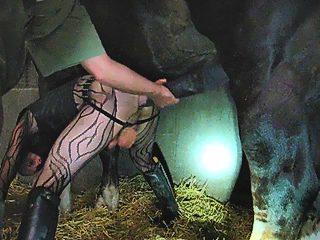 Man and horse porn