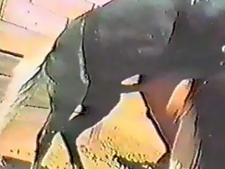 Compilation horse fucks man. Gay bestiality video