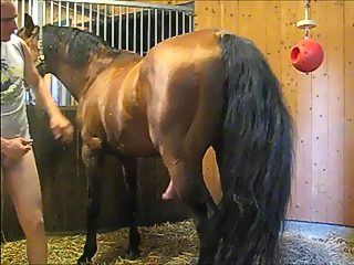 xxx horse and man