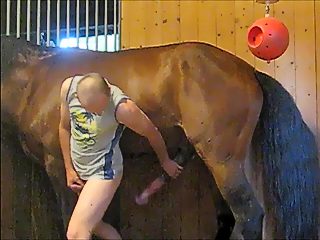 xxx horse and man
