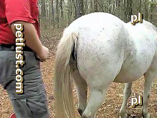 Man and mare have sex on cam