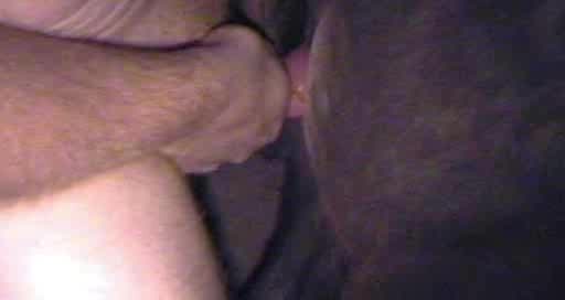 Man dick in horse pussy. Free man animal sex