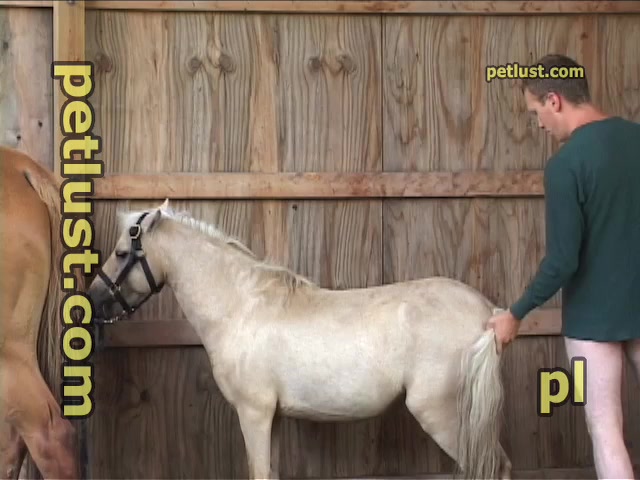 Men fuck male horse