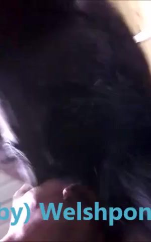 Horse fucks man. Homemade gay bestiality