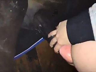 Gay man fucks horse